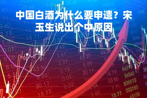 中国白酒为什么要申遗？宋玉生说出个中原因