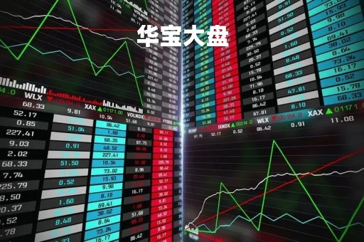 华宝大盘「华宝大盘精选240010」