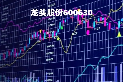 龙头股份600630「龙头股份是做什么的」