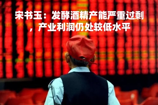 宋书玉：发酵酒精产能严重过剩，产业利润仍处较低水平