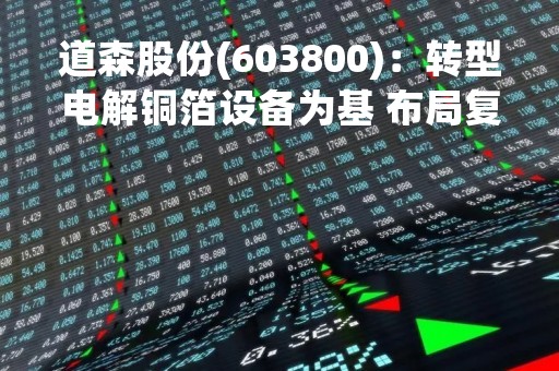 道森股份(603800)：转型电解铜箔设备为基 布局复合铜箔设备为新增长极