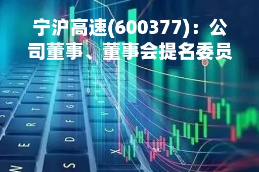 宁沪高速(600377)：公司董事、董事会提名委员会委员、董事会薪酬与考核委员会委员陈延礼先生辞职