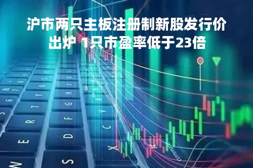 沪市两只主板注册制新股发行价出炉 1只市盈率低于23倍