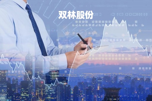 双林股份「双林股份高管」