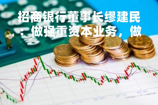 招商银行董事长缪建民:做强重资本业务,做大轻资本业务 招商银行董事长缪建民:做强重资本业务,做大轻资本业务