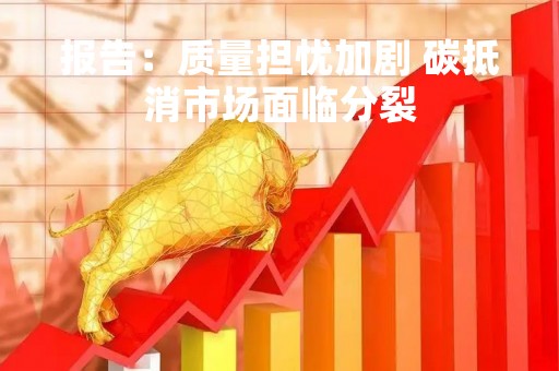 报告：质量担忧加剧 碳抵消市场面临分裂