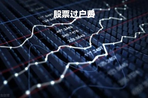 股票过户费「股票过户费收费标准2023」