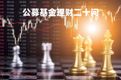 公募基金理财二十问