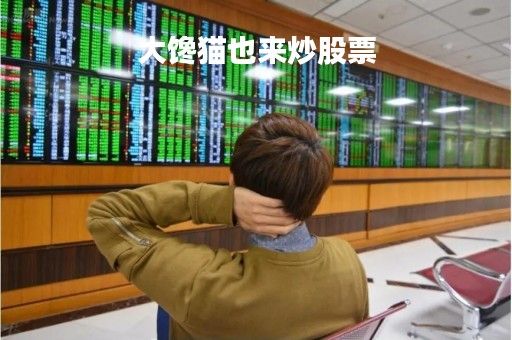 大馋猫也来炒股票「大馋猫图片」