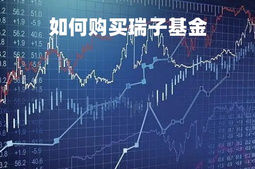 如何购买瑞子基金