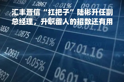 汇丰晋信“扛把子”陆彬升任副总经理，升职留人的招数还有用吗?