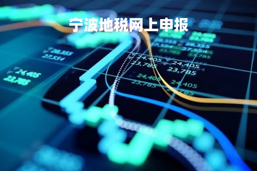 宁波地税网上申报「宁波地税网上申报流程」