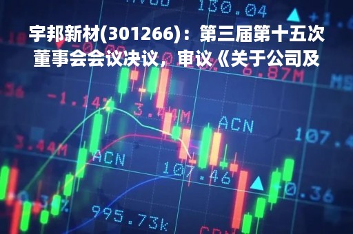 宇邦新材(301266)：第三届第十五次董事会会议决议，审议《关于公司及子公司向银行申请综合授信额度的议案》