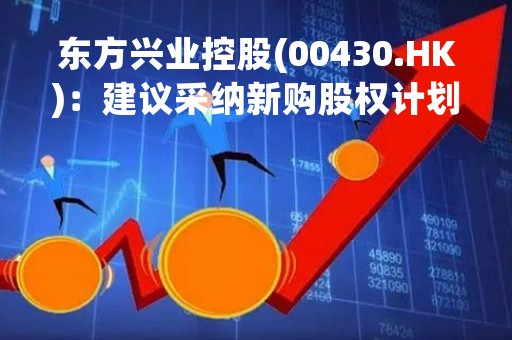 东方兴业控股(00430.HK)：建议采纳新购股权计划