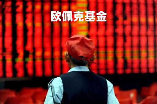 欧佩克基金「欧佩克基金贷款流程」