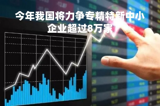 今年我国将力争专精特新中小企业超过8万家