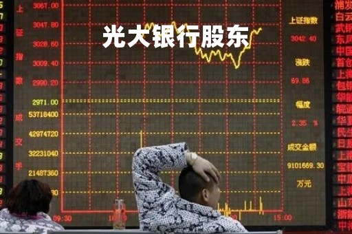 光大银行股东「光大银行股东持股比例」