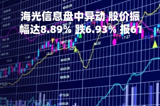 海光信息盘中异动 股价振幅达8.89% 跌6.93% 报61.68元