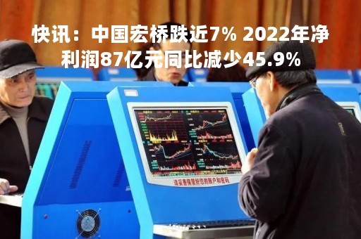 快讯：中国宏桥跌近7% 2022年净利润87亿元同比减少45.9%