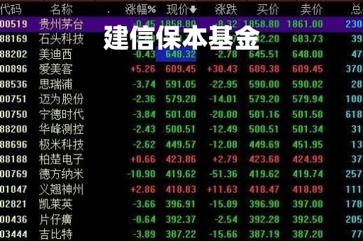 建信保本基金