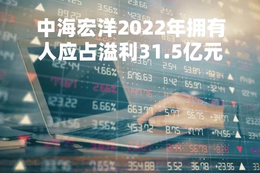 中海宏洋2022年拥有人应占溢利31.5亿元 同比下降37.6%