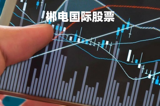 郴电国际股票「金贵银业股票」