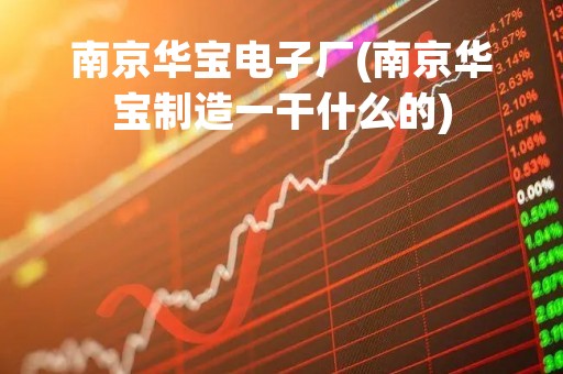 南京华宝电子厂(南京华宝制造一干什么的)