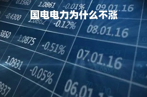 国电电力为什么不涨「国电电力怎么跌这么多」