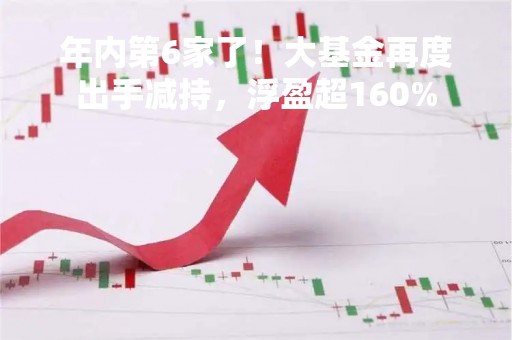 年内第6家了！大基金再度出手减持，浮盈超160%