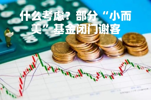 什么考虑？部分“小而美”基金闭门谢客