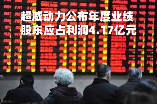 超威动力公布年度业绩 股东应占利润4.17亿元同比下降19%