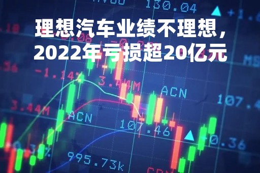 理想汽车业绩不理想，2022年亏损超20亿元，每卖1辆车亏损约2.7万元