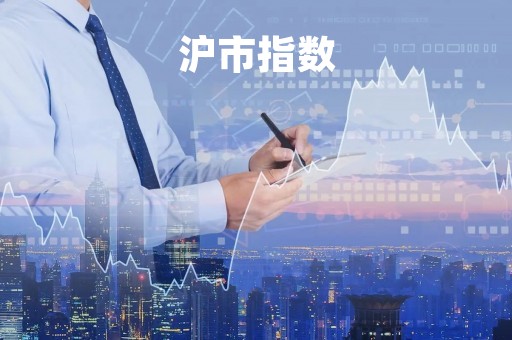 沪市指数「沪市指数今日走势」