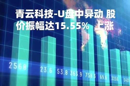 青云科技-U盘中异动 股价振幅达15.55%  上涨7.19%