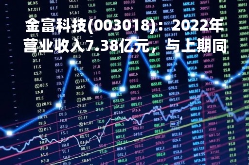 金富科技(003018)：2022年营业收入7.38亿元，与上期同比增加11.93%