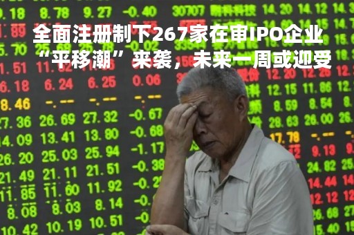 全面注册制下267家在审IPO企业“平移潮”来袭，未来一周或迎受理高峰