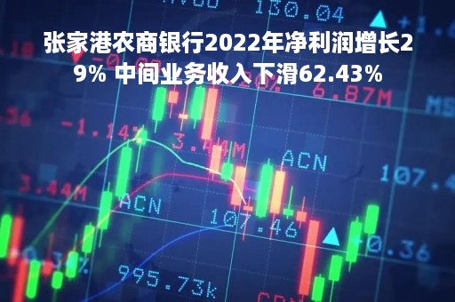 张家港农商银行2022年净利润增长29% 中间业务收入下滑62.43%