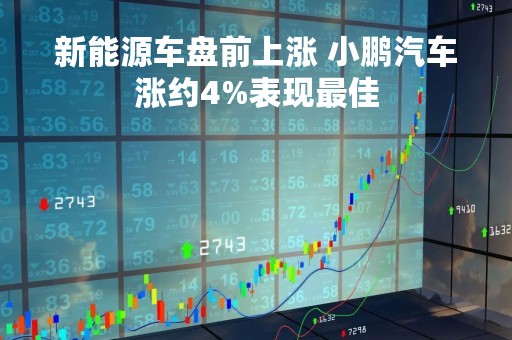 新能源车盘前上涨 小鹏汽车涨约4%表现最佳