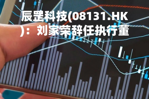 辰罡科技(08131.HK)：刘家荣辞任执行董事