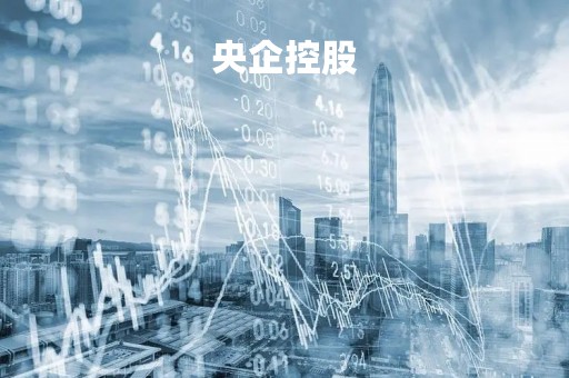 央企控股