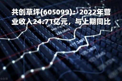 共创草坪(605099)：2022年营业收入24.71亿元，与上期同比增加7.35%