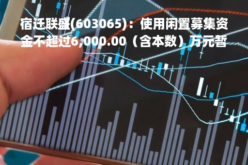 宿迁联盛(603065)：使用闲置募集资金不超过6,000.00（含本数）万元暂时补充流动资金