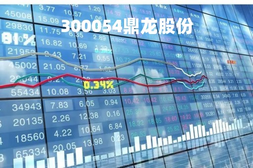 300054鼎龙股份「300054鼎龙股份股高管持股」