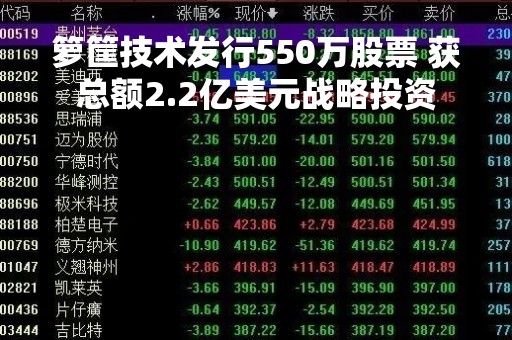 箩筐技术发行550万股票 获总额2.2亿美元战略投资