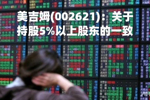美吉姆(002621)：关于持股5%以上股东的一致行动人减持计划期限届满暨实施情况的公告