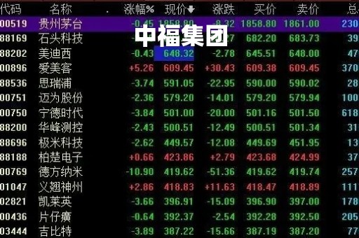 中福集团「中福集团创始人是谁」
