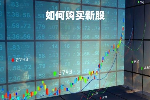 如何购买新股