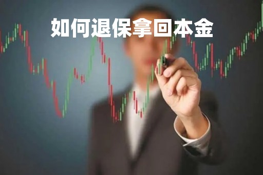 如何退保拿回本金