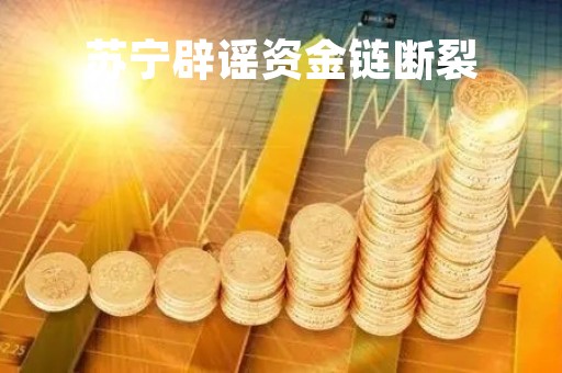 苏宁辟谣资金链断裂「苏宁资金链紧张」