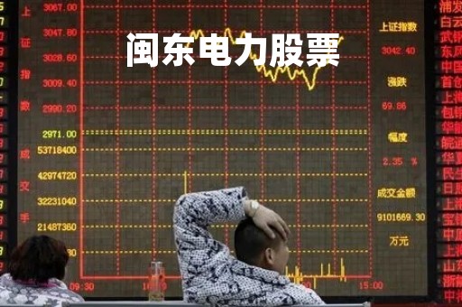 闽东电力股票「闽东电力股票行情」